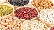 طرح بسته‌بندی حبوبات و غلات در روستای بادباد الیگودرز وارد مرحله امکان‌سنجی شد