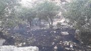 آتش‌سوزی ارتفاعات سرکش گیلانغرب مهار شد