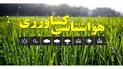 کشاورزان از سم‌پاشی و کوددهی در ساعات بعدازظهر اجتناب کنند
