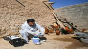 واکسیناسیون طیور روستایی آذربایجان‌غربی بر علیه بیماری نیوکاسل/ تزریق واکسن مقاوم به حرارت
