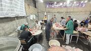 تجلی عشق ثاراللهیان در سرزمین امام مهربانی ها+ تصاویر