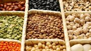 تولید حبوبات به ۷۰۰ هزار تن می رسد/مصرف سالانه ۹۵۰ هزار تن حبوبات در کشور