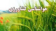 کشاورزان از آبیاری درختان در ساعات گرم روز اجتناب کنند